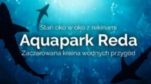 Aquapark z rekinami - zobacz jak pływają 1