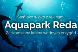 Aquapark z rekinami - zobacz jak pływają 1