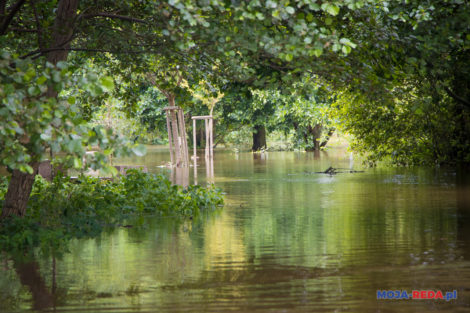 Park pod wodą, wylała rzeka Reda 22