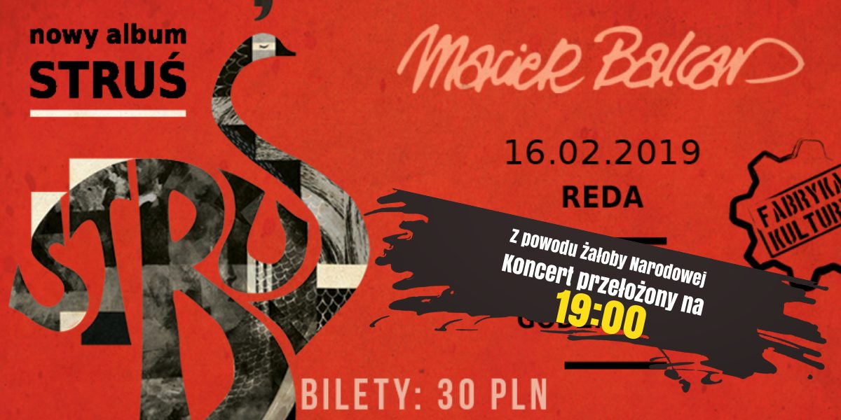 Maciek Balcar - koncert
